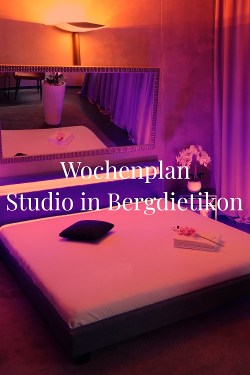Wochenplan Studio in Bergdietikon, Zürich